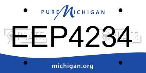 EEP4234 Michigan License Plate