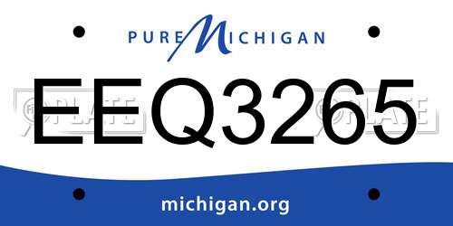 EEQ3265 Michigan License Plate