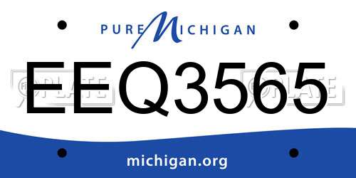 EEQ3565 Michigan License Plate