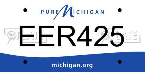EER425 Michigan License Plate