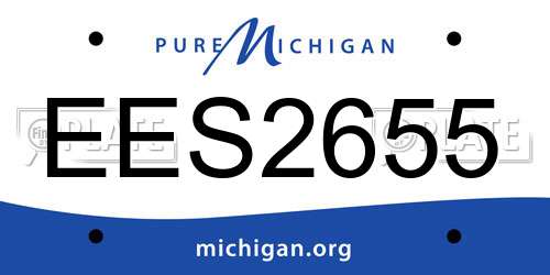 EES2655 Michigan License Plate