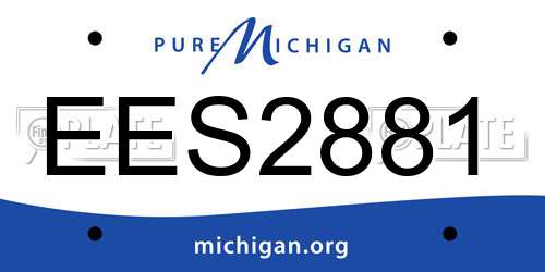 EES2881 Michigan License Plate