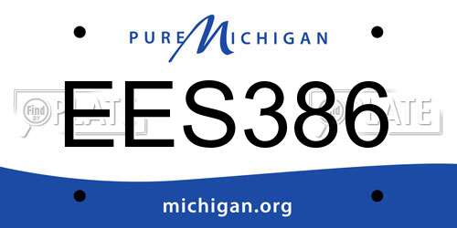 EES386 Michigan License Plate