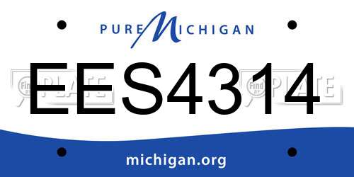 EES4314 Michigan License Plate