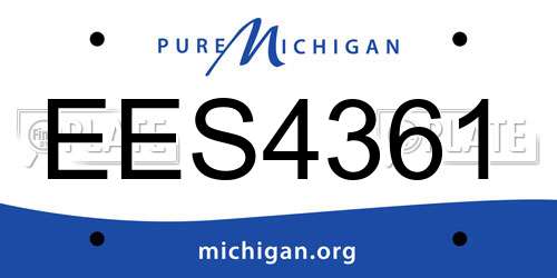 EES4361 Michigan License Plate