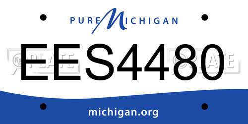 EES4480 Michigan License Plate