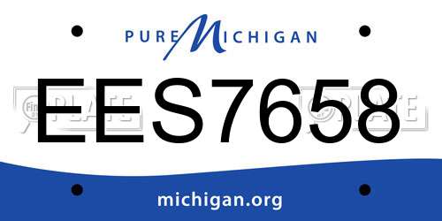 EES7658 Michigan License Plate