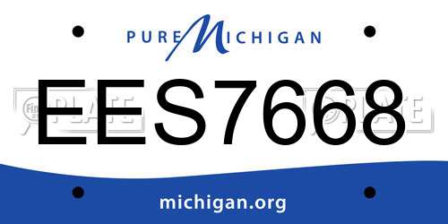 EES7668 Michigan License Plate