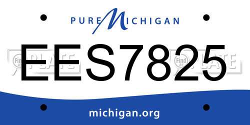EES7825 Michigan License Plate