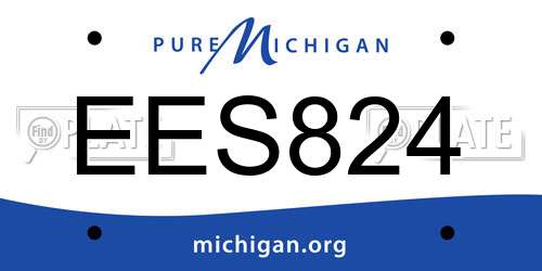 EES824 Michigan License Plate