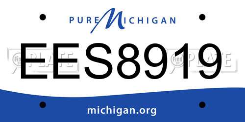EES8919 Michigan License Plate