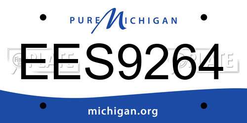EES9264 Michigan License Plate