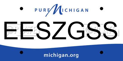 EESZGSS Michigan License Plate