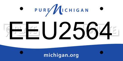 EEU2564 Michigan License Plate