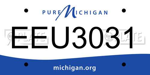 EEU3031 Michigan License Plate
