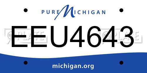 EEU4643 Michigan License Plate