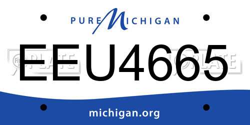 EEU4665 Michigan License Plate