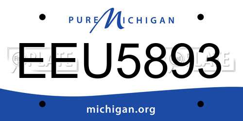 EEU5893 Michigan License Plate