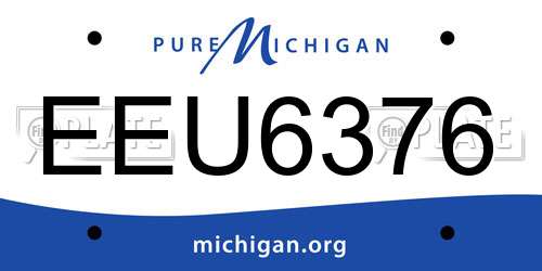 EEU6376 Michigan License Plate