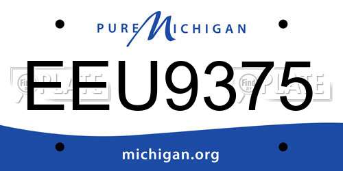 EEU9375 Michigan License Plate