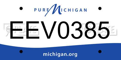 EEV0385 Michigan License Plate