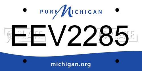EEV2285 Michigan License Plate