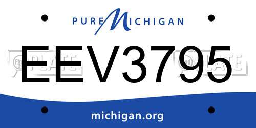 EEV3795 Michigan License Plate