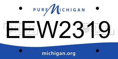 EEW2319 Michigan License Plate