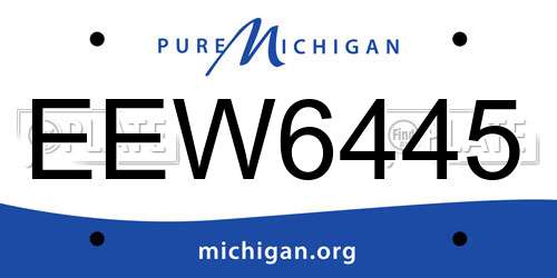 EEW6445 Michigan License Plate