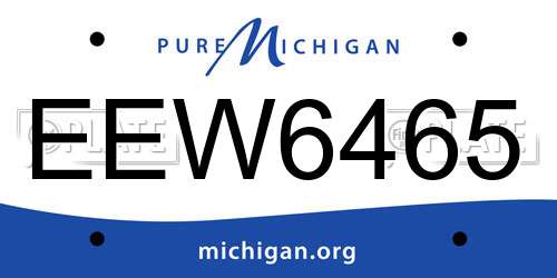 EEW6465 Michigan License Plate
