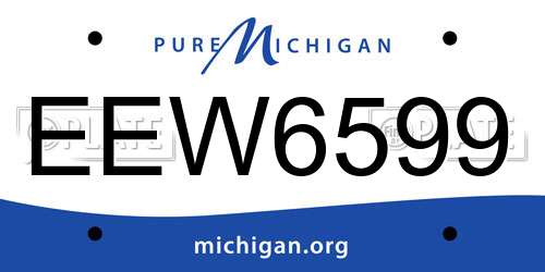 EEW6599 Michigan License Plate