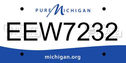 EEW7232 Michigan License Plate
