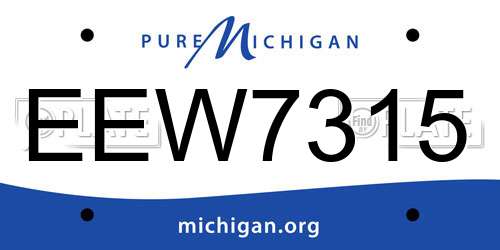 EEW7315 Michigan License Plate