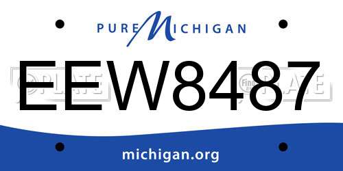 EEW8487 Michigan License Plate
