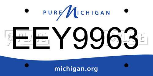 EEY9963 Michigan License Plate