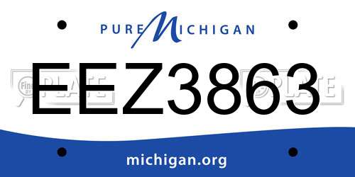 EEZ3863 Michigan License Plate