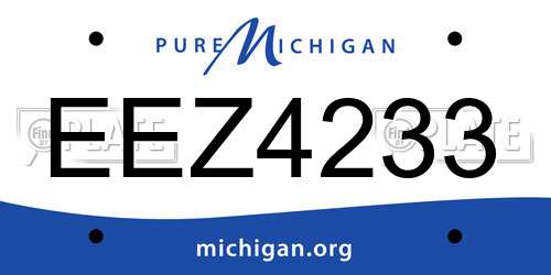 EEZ4233 Michigan License Plate