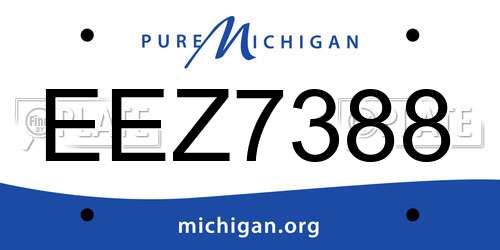 EEZ7388 Michigan License Plate