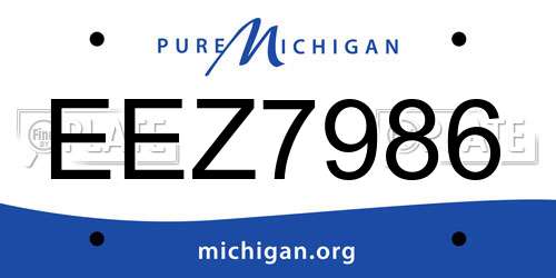 EEZ7986 Michigan License Plate