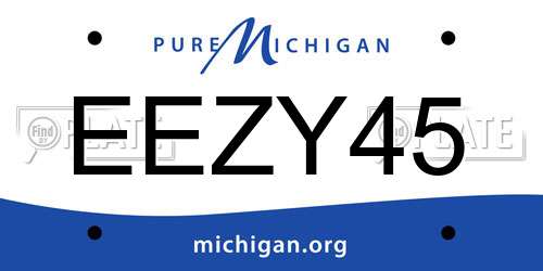 EEZY45 Michigan License Plate