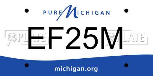 EF25M Michigan License Plate
