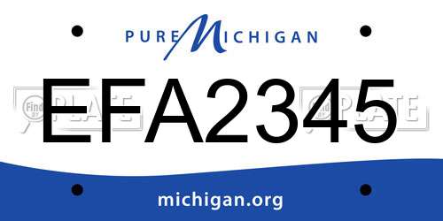 EFA2345 Michigan License Plate