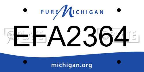 EFA2364 Michigan License Plate