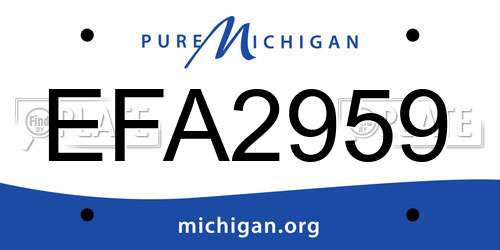EFA2959 Michigan License Plate