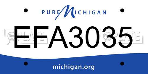 EFA3035 Michigan License Plate