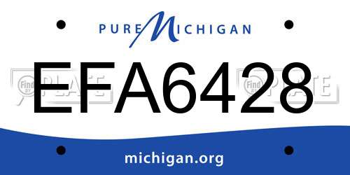 EFA6428 Michigan License Plate