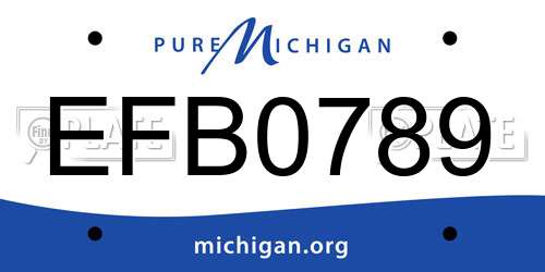 EFB0789 Michigan License Plate