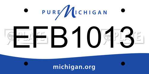 EFB1013 Michigan License Plate