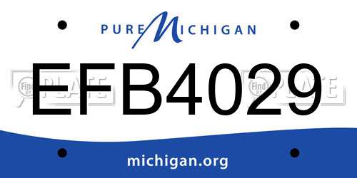 EFB4029 Michigan License Plate
