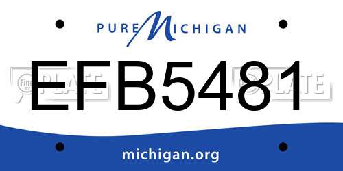 EFB5481 Michigan License Plate